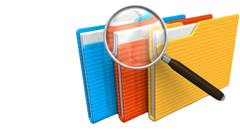 Case Studies Banner